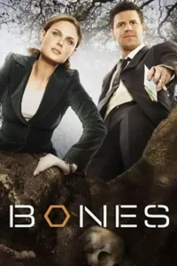 Кости 4 сезон (2008)